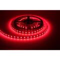 Cata Ct-4482 10 Çip Şerit Led İç Mekan (Kırmızı)