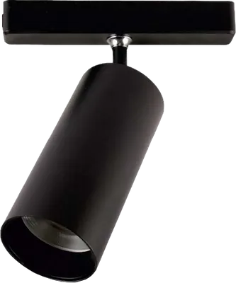 Cata Ct-5862G 30W Frank Magnetıc Spot Siyah(Günışığı)