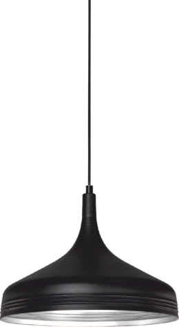 Cata Ct-8304 Dekoratif Aplik (Siyah-Beyaz + 35 Cm)