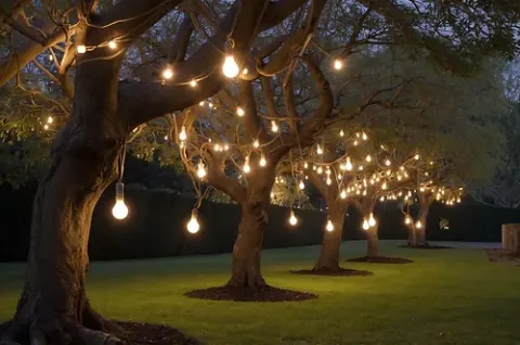 Cata Ct-7071 Sarmaşık 10 Ampullü Set